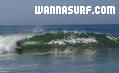 photo de surf