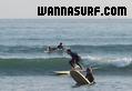 photo de surf