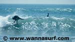 photo de surf
