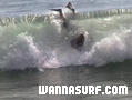 photo de surf