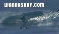 photo de surf