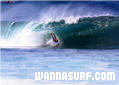 photo de surf