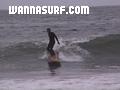 photo de surf