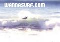 photo de surf