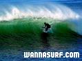 photo de surf