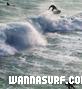 photo de surf