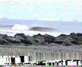 photo de surf