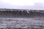 photo de surf