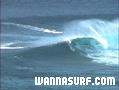 photo de surf