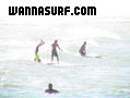 photo de surf