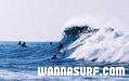 photo de surf