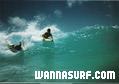 photo de surf
