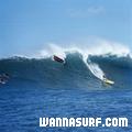 photo de surf