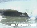 photo de surf
