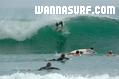 photo de surf