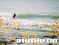 photo de surf