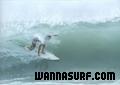 photo de surf