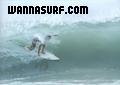 photo de surf