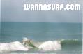 photo de surf