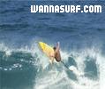 photo de surf
