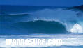 photo de surf