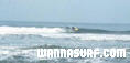 photo de surf