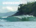 photo de surf
