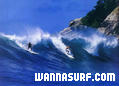 photo de surf