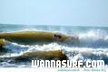 photo de surf