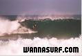 photo de surf