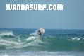 photo de surf