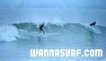 photo de surf