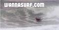photo de surf