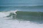 photo de surf