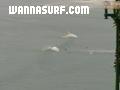 photo de surf
