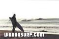 photo de surf